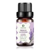 Dekure French Lavender Essential Oil 10ml -100% Pure Natural Oil-