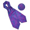 DiBanGu Blue Purple Ascot Ties for Men Cravat Tie and