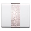 [Old Model] Case for Coffret Dor Shadows Powder, S, White