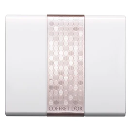 [Old Model] Case for Coffret Dor Shadows Powder, S, White