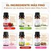 Kaisasa Kit De 12 Aceites Esenciales Aromaterapia Natural