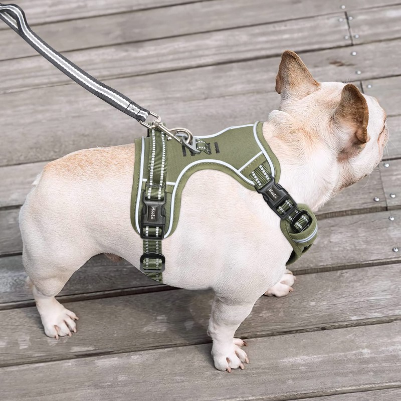 HEELE Dog Harness, No Pull Dog Harness Small, Release on