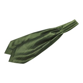 Allegra K Polka Dot Pattern Ascot Tie, Scarf, Cravat Tie, Formal Party, Men's, green