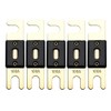 Offgridtec 100A 72V ANL Fuse DIN43560/1 Set of 5