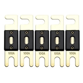 Offgridtec 100A 72V ANL Fuse DIN43560/1 Set of 5
