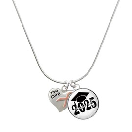 Delight Jewelry Silvertone Small Heart with Pink Ribbon ''The Cure'' Script Class of 2025 Dome Charm Necklace, 18"
