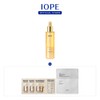 IOPE Golden Glow Face Oil 40ml / 아이오페 골든 글로우