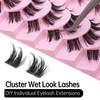 DSLONG Cluster Manga Lashes Wet Look Lashes Effect Spiky Anime