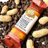 Sunbelt Bakery Peanut Butter Chocolate Chip Chewy Granola Bars, 50-1.0