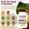NutriBiotic 90 Count Herbal Immune Support Supplement with Vitamin C