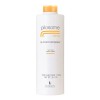 Lendan Pilosome Shampoo 1l + Loción Anticaída Cabello 200ml
