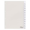Durable 6810-19 Organiser Plastic A4 Jan - Dec/1-12 Hard Film