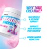 Per4m Creatine Sherbet No Water Required Dry Scoop 5g of