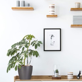 Relaxdays Watering Cone, Set of 4, Watering System for 1.5 L PET Bottles, for Balcony Boxes and Potted Plants, White