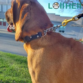 LOIIHEII Martingale Collar for Dogs No-Pull Adjustable Training Collar with Stainless Steel Chain - Genuine Leather Anti-Slip Design for Small,Medium,Large Breed Dogs - Brown (M)