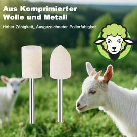 Celepoir 176-Piece Wool Felt Polishing Disc Set, 5 Shape Polishing Disc, Wool Felt Mounted Mandrel Polishing Set with 1/8 Inch Polishing Attachment, Multifunctional Polishing Attachment for Jewellery