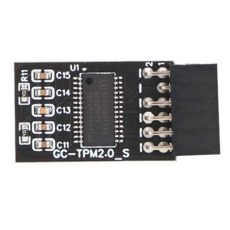 TPM 2.0 Module LPC SPI 12 Pin Remote Card Encryption