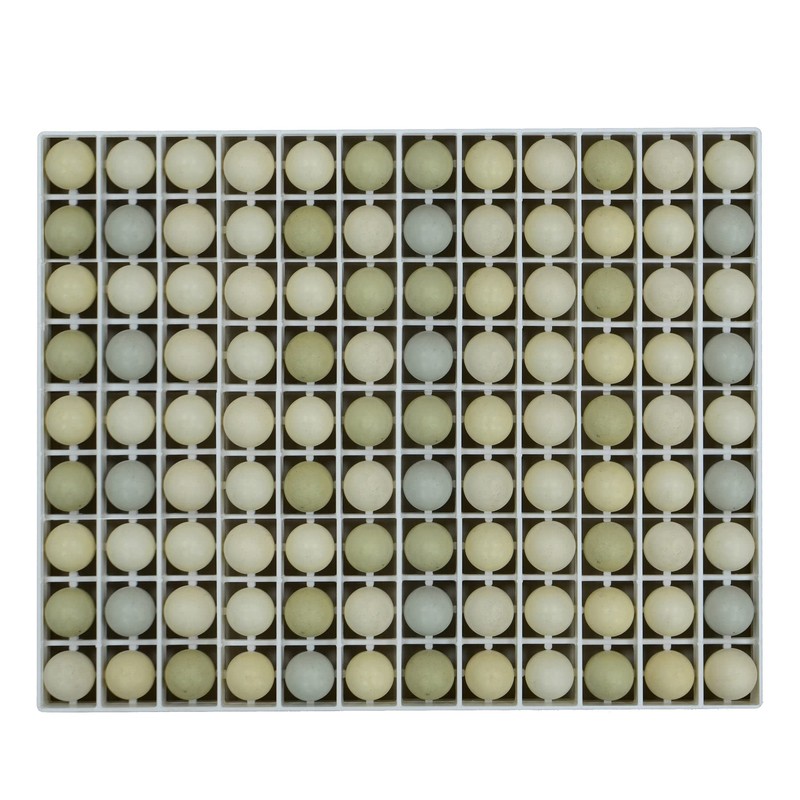 Hatching Time Egg Setter Tray (108 Pheasant Eggs), Good Fit,