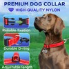 TECEUM Reflective Dog Collar – Red – XXS – Basic