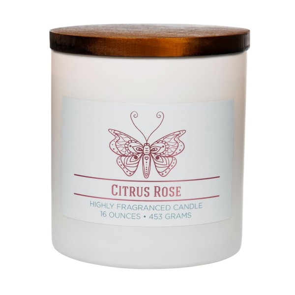 Citrus Rose Scented Jar Candle, Wellness Collection, Relaxing Aromatherapy Candle,