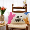 Ogiselestyle Easter Bunny Hey Peeps Throw Pillow Cover, 12 x