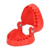 Denture Drill Bit Holder 28 Drill Bits Organizer Portable Denture