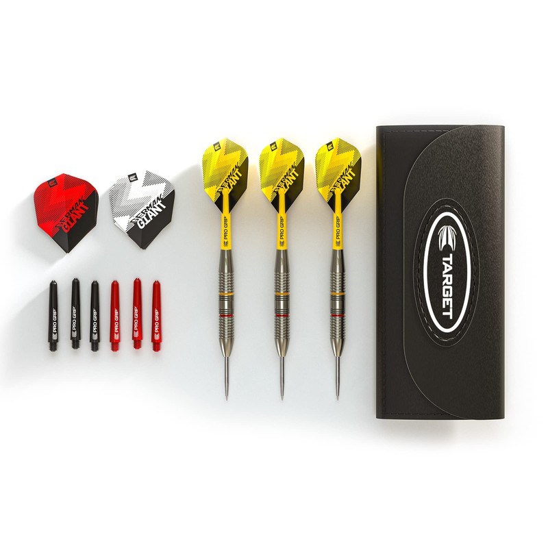 Target Darts Gabriel Clemens 22G Brass Darts Steel Darts Set