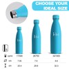 Grsta Stainless Steel Drinking Bottle, 0.5 Litres, BPA-Free, Children's Drinking