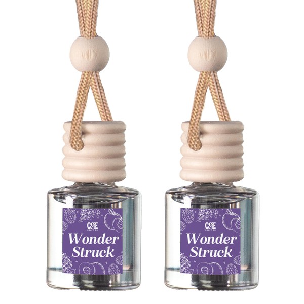 CE CRAFT CANDECraftCo Car Air Hanging Fragrance Oil, Car Auto