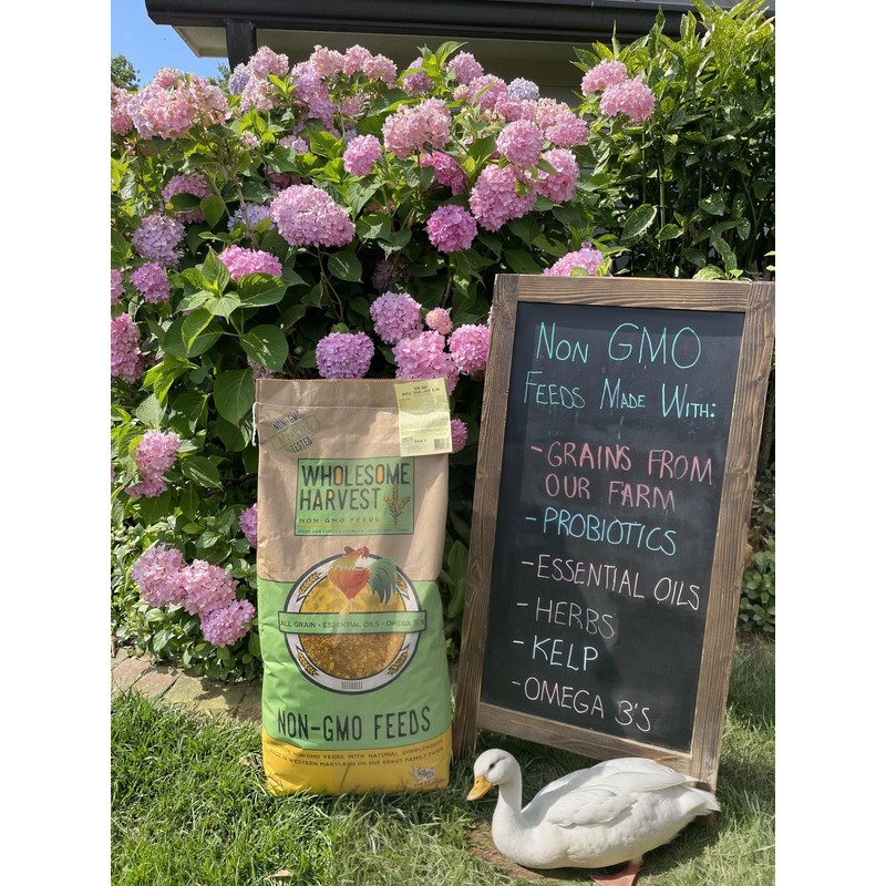 Wholesome Harvest Non-GMO 10 lb Natural Gosling & Duckling Starter