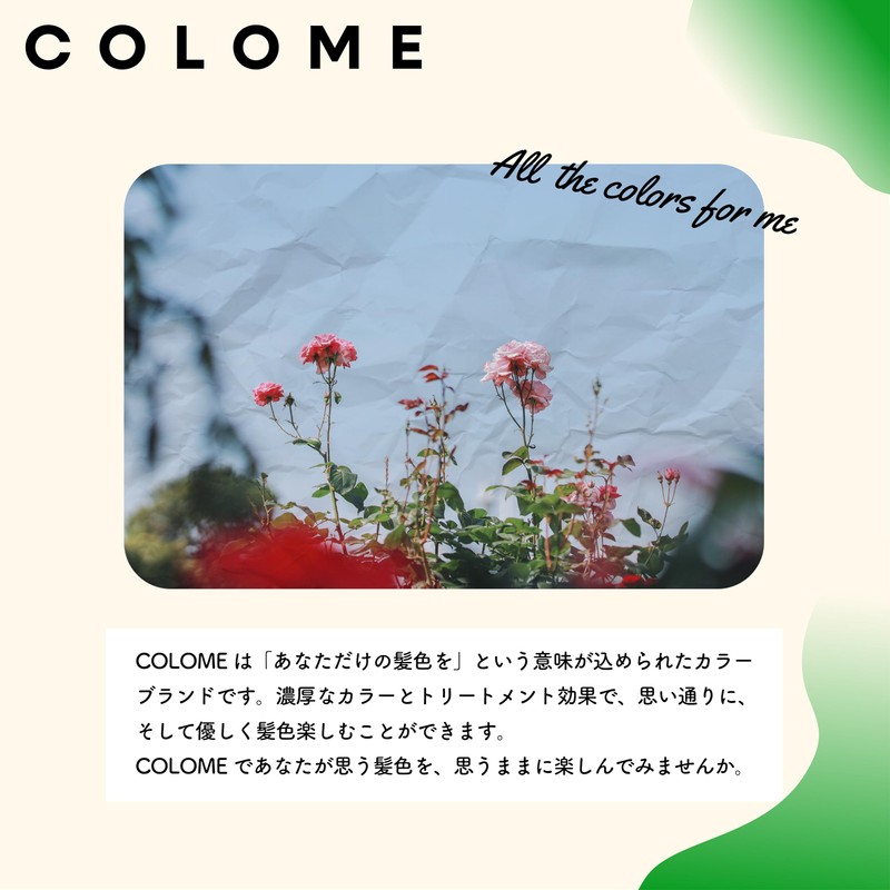 COLOME GREEN Coloring Supplies Green
