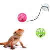 6 Pack Bearded Dragon Toy Bell Balls, Reptile Lizard Toy