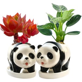 Panda Bamboo Plant Pot-Succulent Pots with Drainage & Saucer-5.7 Inch Tiny Animal Planter Small Ceramic Air Plant Flower Pots-Cactus Faux Planters Containers with Saucer-Modern Decorative plants pots