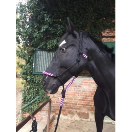 Knot Halter with Rope for Horses - Padded Nose and Neck Ideal for Ground Work, Horse Training, Training (Black-Purple)