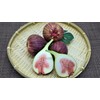Boiled Fig with Honeydew