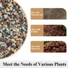 YISZM Succulent Cactus Soil Potting Mix Horticultural Lava Rocks Bonsai