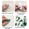 Plant Holder Wall - Plant Clips for Climbing Plants, Plant