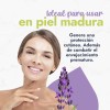 Hidrolato de Lavanda Hebbe: Tónico Facial Natural para Todo Tipo