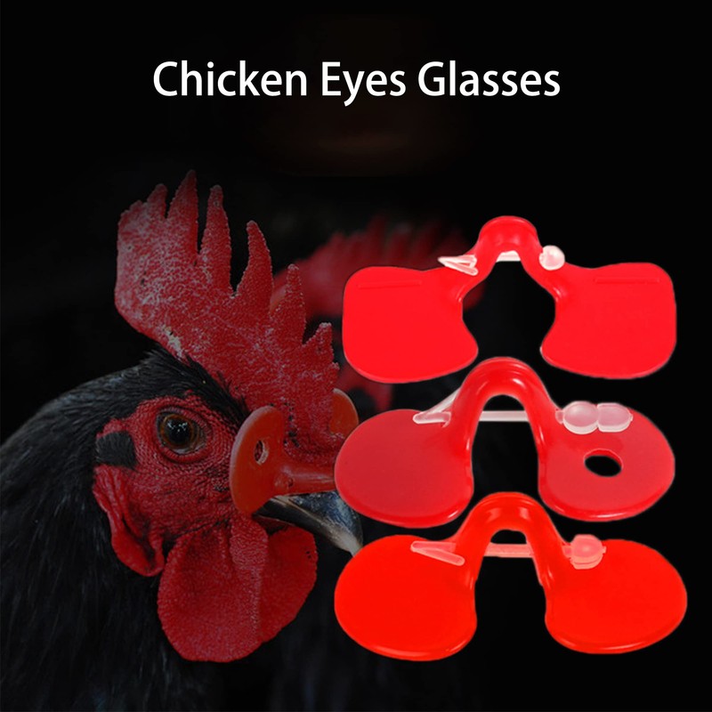 50PCS Pack PinlessEye Glasses Pheasant Poultry Blinders Spectacles Anti Pecking