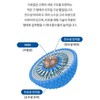 Liposomal NMN efficacy NMN nicotinamide 6 months / 리포좀 NMN
