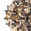 Pulovin 10 lbs Pebbles for Indoor Plants, Succulent, Bamboo, Vase,
