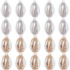 SUNNYCLUE 1 Box 20Pcs Seashell Charms Bulk Shell Charms Small