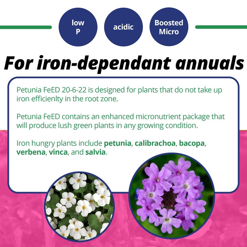 Jack's Classic 20-6-22 Petunia Feed Water-Soluble Fertilizer with Micronutrients to