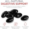 Herbal Digestive Support Softgels with Black Walnut, Wormwood & Garlic