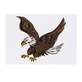 'Bald Eagle' Temporary Tattoo - Water Resistant, Skin-Safe, Non-Toxic Transfer (TO00034062)