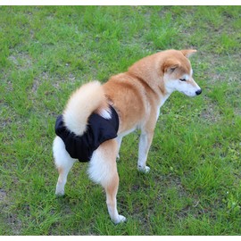 Vecomfy Dog Diapers Female for Small Dogs 3 Pack,Premium Washable Reusable Leakproof New Born Puppy Nappies,XS