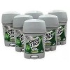 Speed Stick 6 Packs Speed Stick Mens Irish Spring Deodorant