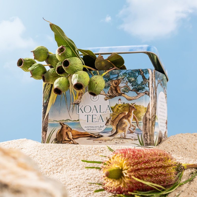 Koala Tea Gift Tin Beach - Organic Tea Bags Selection