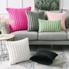 Soleebee Plush Velvet Cushion Covers, Set of 2, Soft Artificial
