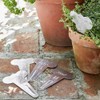 Burgon & Ball Sophie Conran Metal Herb Labels 6-Piece Set,